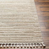 Close-up of the beige Levy Area Rug showing its horizontal stripes, soft texture, and decorative tassels. Front