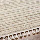 Close-up of a beige Levy Area Rug featuring a horizontal striped pattern and decorative tassels. Texture