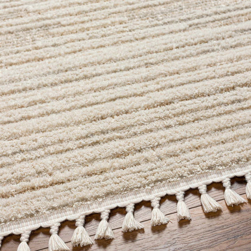 Close-up of a beige Levy Area Rug featuring a horizontal striped pattern and decorative tassels. Texture