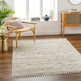 Miyu Taupe Area Rug - Clearance