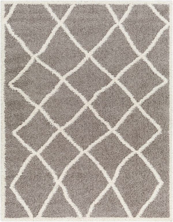 Alkas Area Rug - Clearance