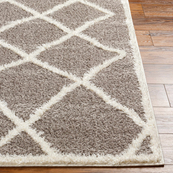 Alkas Area Rug - Clearance