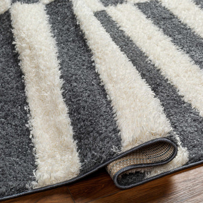 Altan Gray Area Rug - Clearance