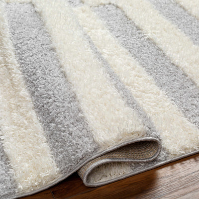 Altan Gray & Cream Area Rug - Clearance