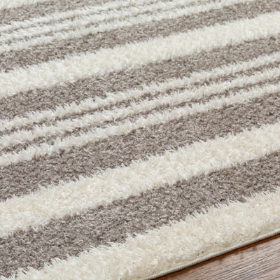 Deva Gray Area Rug - Clearance