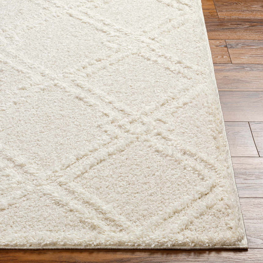Close up of the Elyse Cream Area Rug showing its shag texture and geometric pattern on wood flooring. Front