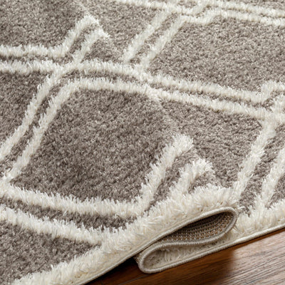 Elyse Brown Area Rug - Clearance