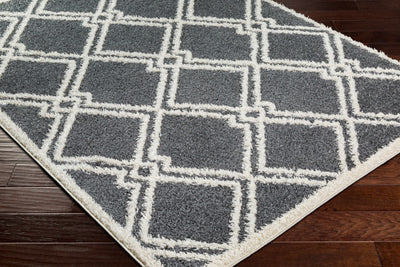 Elyse Gray Area Rug - Clearance