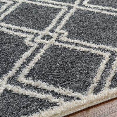 Elyse Gray Area Rug - Clearance