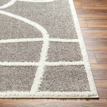 Close up of Gilon Taupe Plush Area Rug showing its geometric pattern and soft, shag texture on wood floor. Front