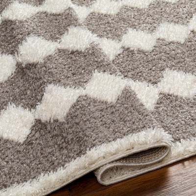 Hija Brown Area Rug - Clearance