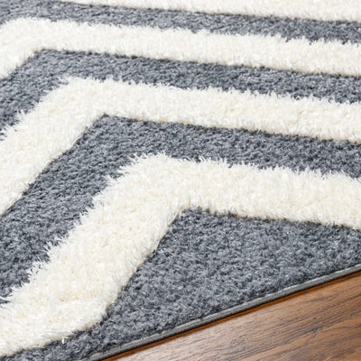 Seda Gray Area Rug - Clearance