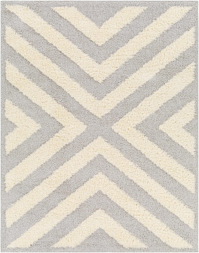 Seda Light Gray Area Rug - Clearance