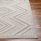 Aimee Natural Gray Area Rug - Clearance