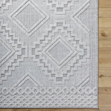 Arwid Light Gray Area Rug