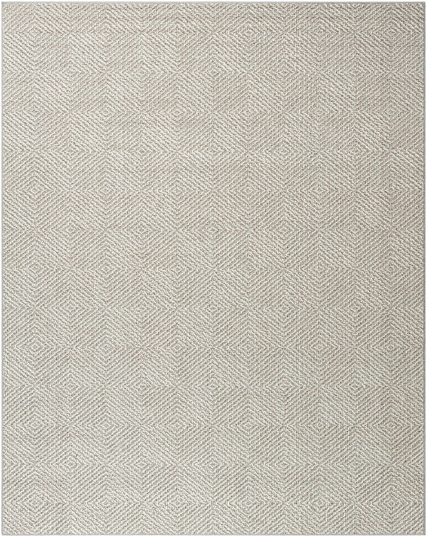 Broox Gray Area Rug