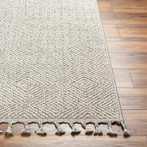 Broox Gray Area Rug