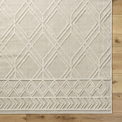 Hoang Area Rug