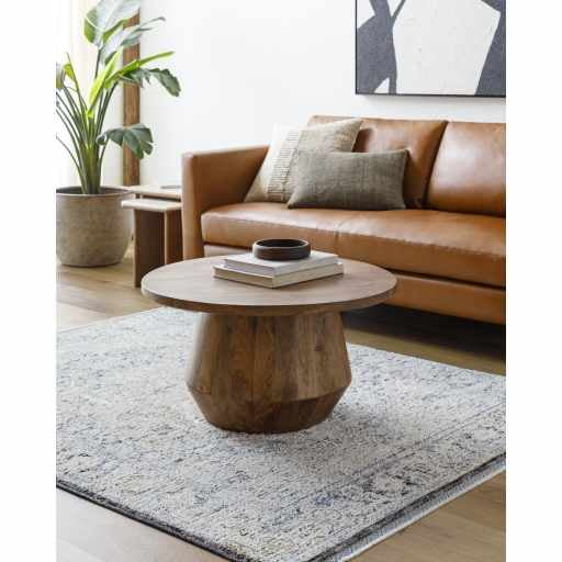 Charo Light Gray Area Rug