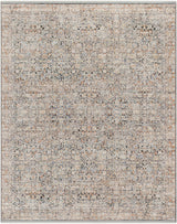 Haran Natural Gray Area Rug - Clearance