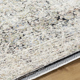 Haran Natural Gray Area Rug - Clearance