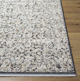 Haran Cloud Gray Area Rug