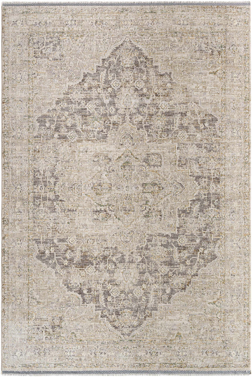 Close-up of the Njeri Area Rug in beachhouse beige. Traditional farmhouse style with a central medallion pattern. Design-Rectangle-6796