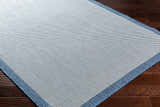 Close-up of the Aleid Blue Area Rug showing its woven texture and denim border on dark wood floors. Corner