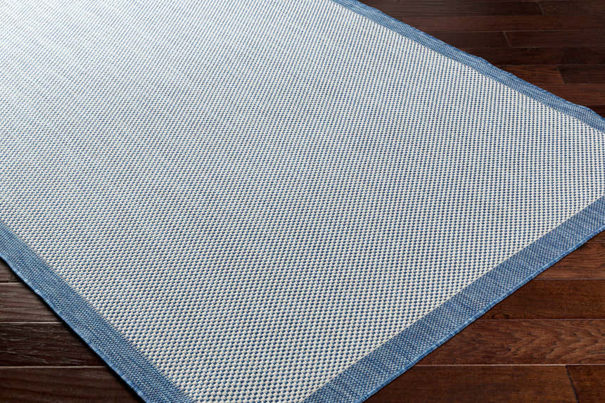 Close-up of the Aleid Blue Area Rug showing its woven texture and denim border on dark wood floors. Corner