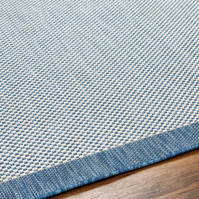 Aleid Blue Area Rug