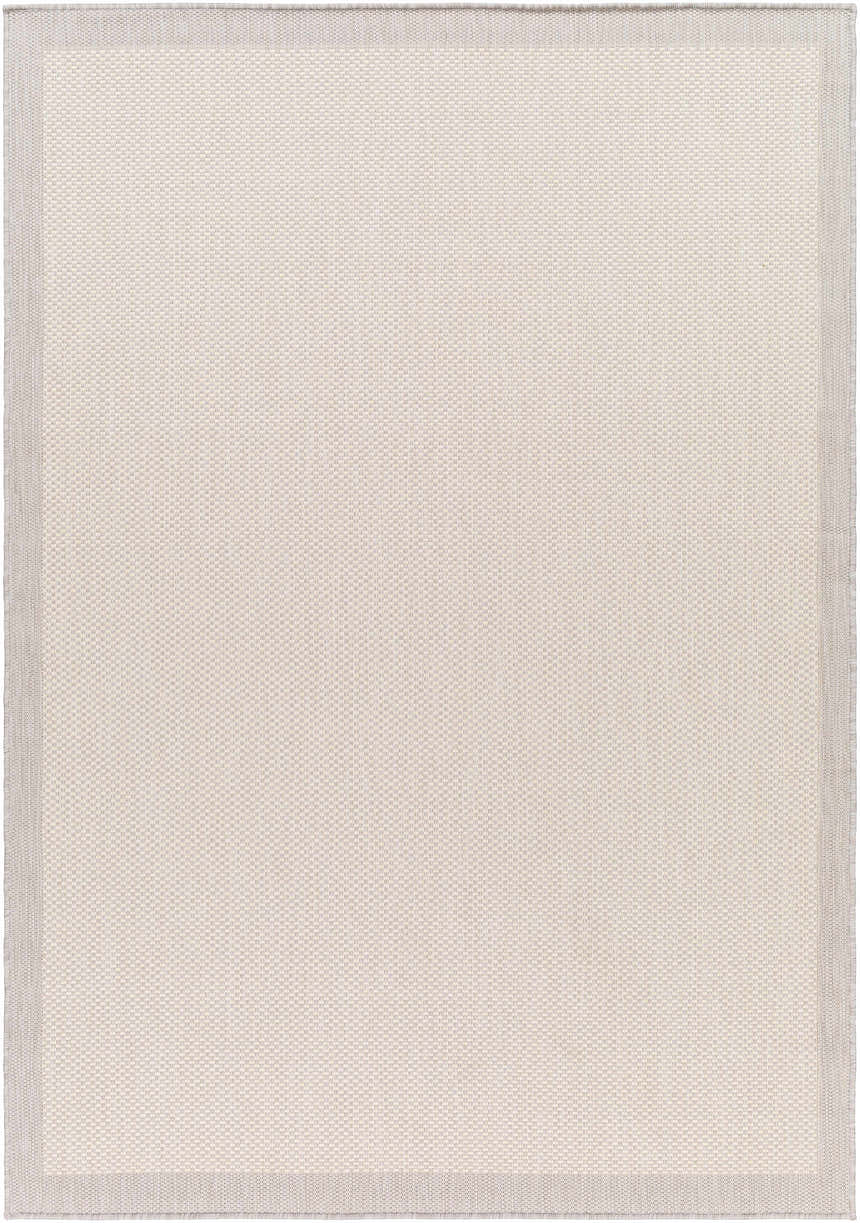 Close-up of the Aleid Cream Area Rug showing its bone and beige woven texture and subtle gray border. Design-Rectangle-537
