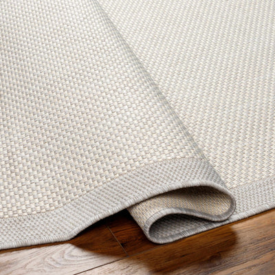 Aleid Cream Area Rug