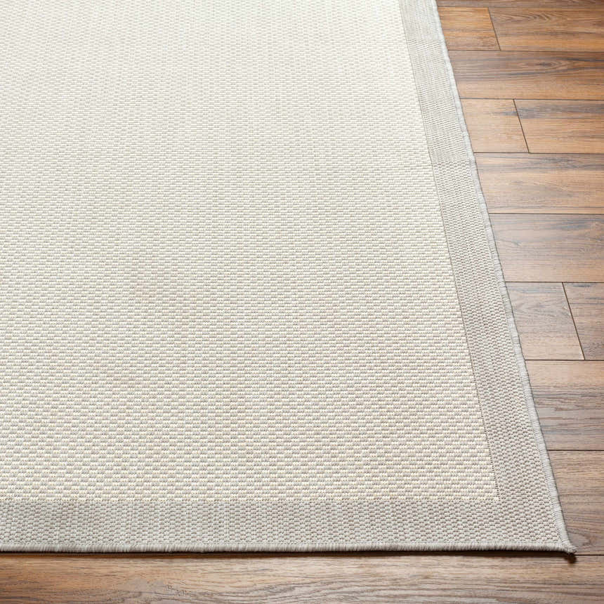 Close-up of the Aleid Cream Area Rug showing its bone and beige woven texture and border on wood flooring. Front