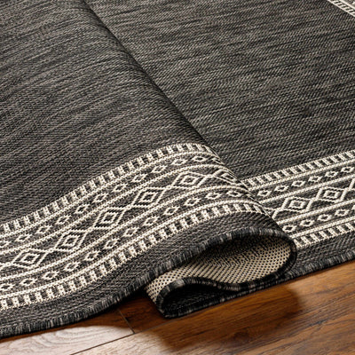 Aleli Black & White Area Rug