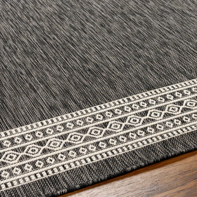 Aleli Black & White Area Rug