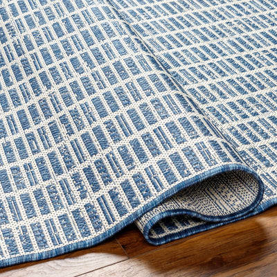 Amena Blue Area Rug