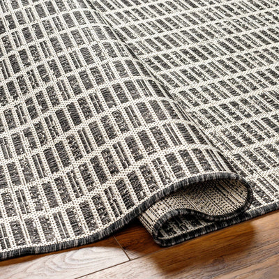 Amena Gray Area Rug