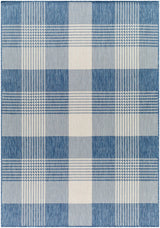 Aubin Blue Plaid Area Rug - Clearance