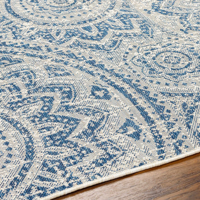 Ayala Blue Area Rug