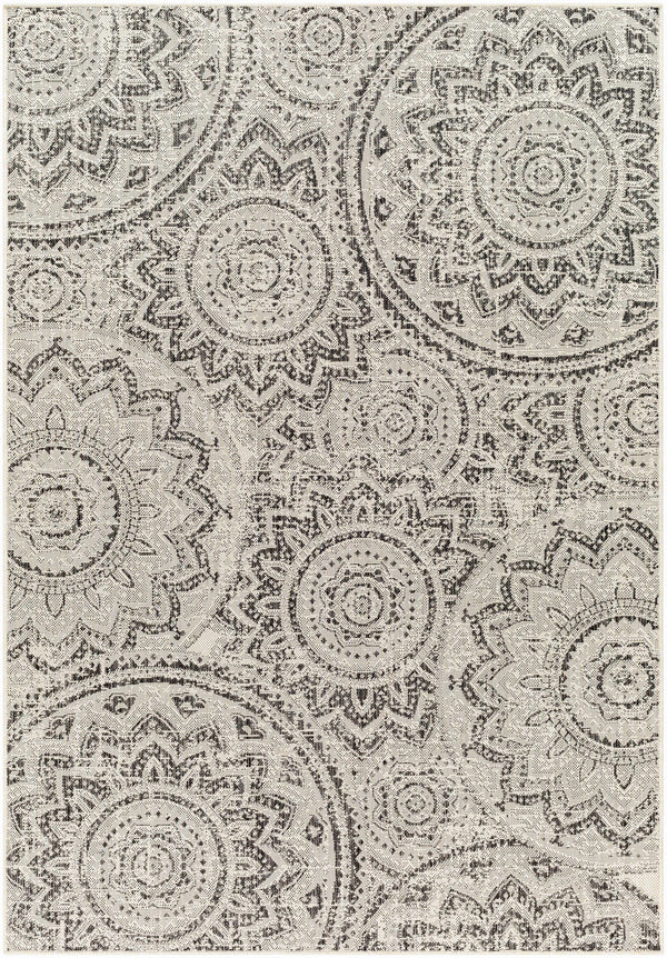 Ayala Gray Area Rug