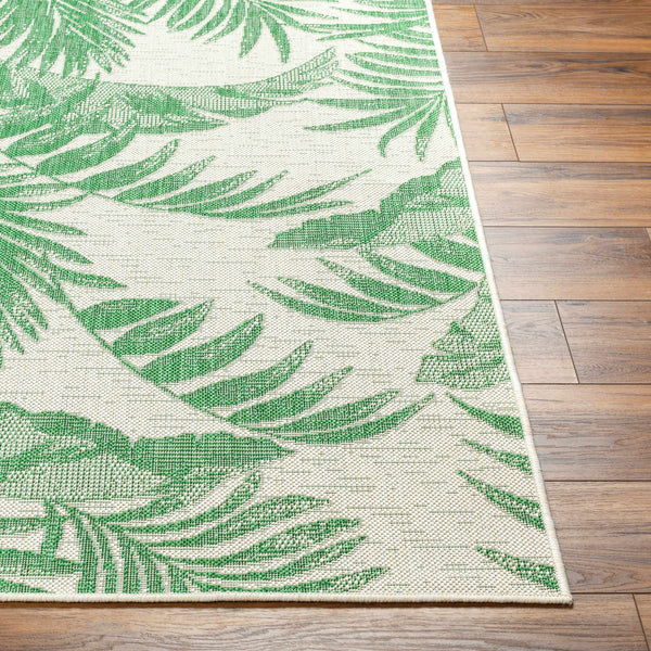 Caley Area Rug