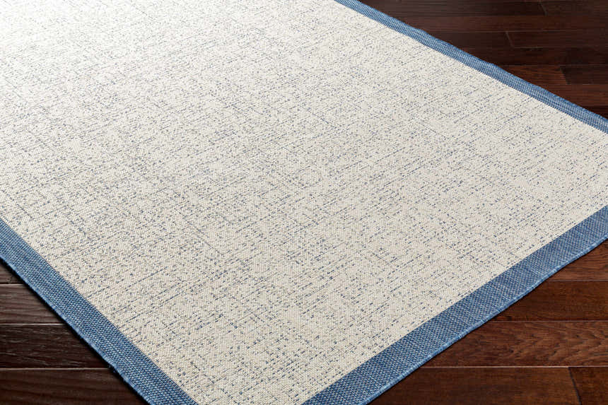 Close-up of the Demas Blue & Cream Area Rug showing its textured beige and blue pattern and denim-colored border. Corner