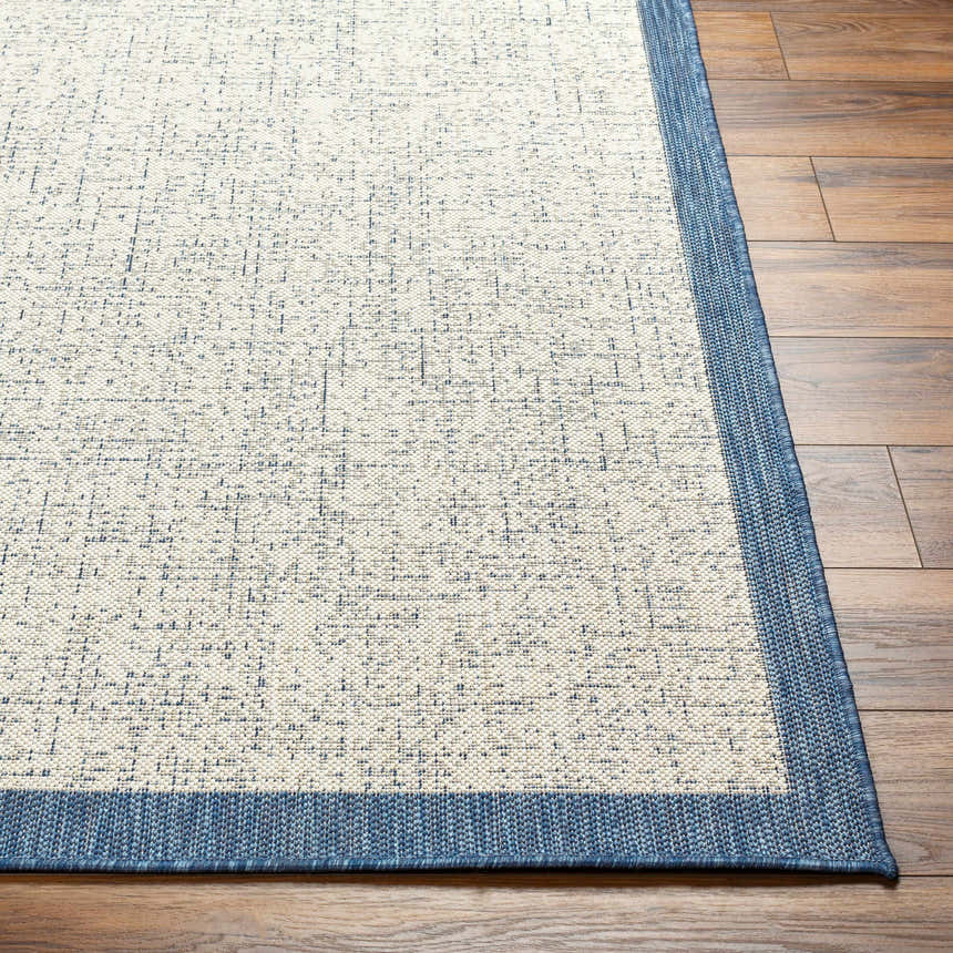 Close-up of the Demas Blue & Cream Area Rug showing its textured weave, cream base, and denim blue border on wood flooring. Front
