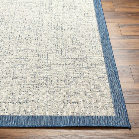 Demas Blue & Cream Area Rug - Clearance