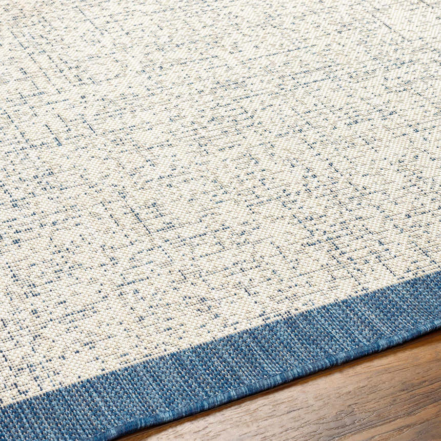 Close-up of the Demas Blue & Cream Area Rug showing its woven texture and blue border detail on a wood floor. Texture