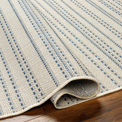 Galen Blue & Cream Area Rug