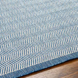 Close-up of the Genet Blue Area Rug showing its blue and white herringbone pattern and textured weave. Texture