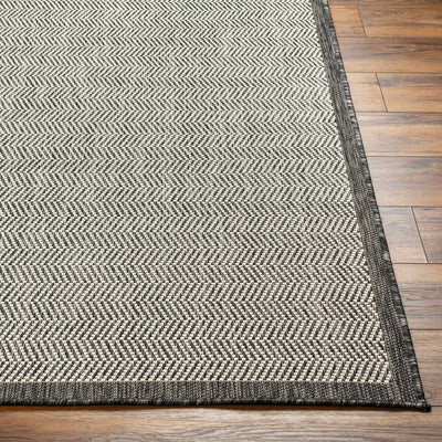 Genet Gray Area Rug