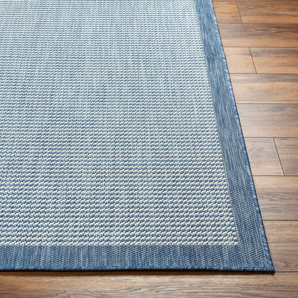 Hetal Blue Area Rug