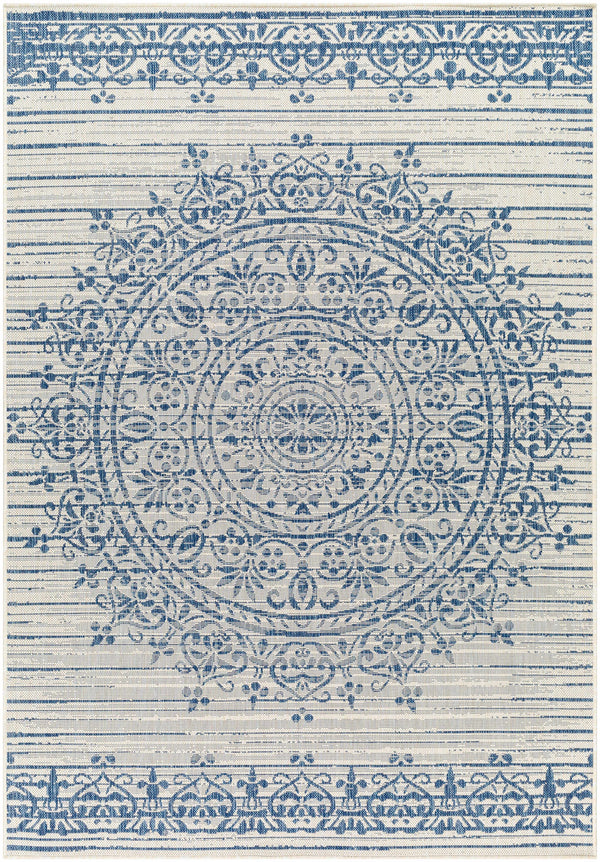 Honza Silver Blue Area Rug